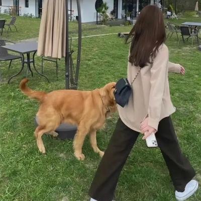 女高汉子